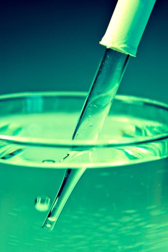homeopatie1