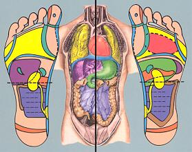 reflexologia1