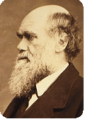 darwin